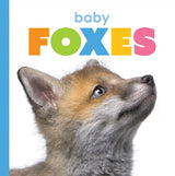 Starting Out: Baby Foxes by The Creative Company Shop