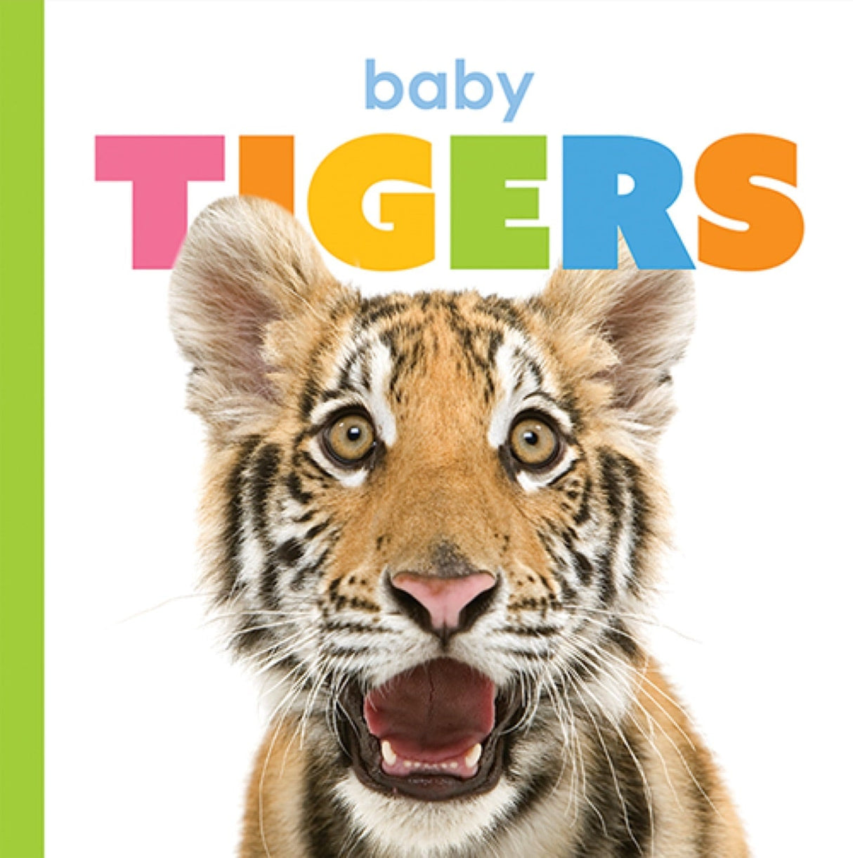 Starting Out: Baby Tigers by The Creative Company Shop
