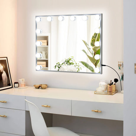 2-in-1 Vanity Mirror with 14 Dimmable LED Bulbs