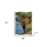 48" X 72" Multi Color Wood Canvas Bear  Screen