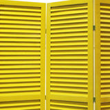 48 X 67 Black Wood Shutter - Screen