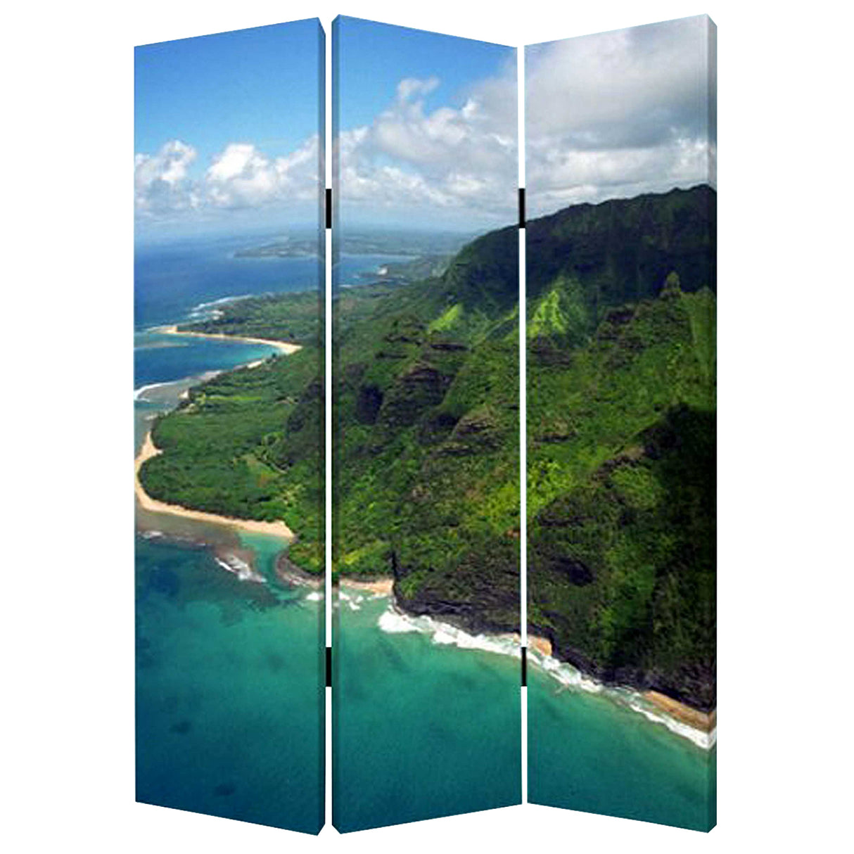 48 X 72 Multi Color Wood Canvas Palm Tripical  Screen