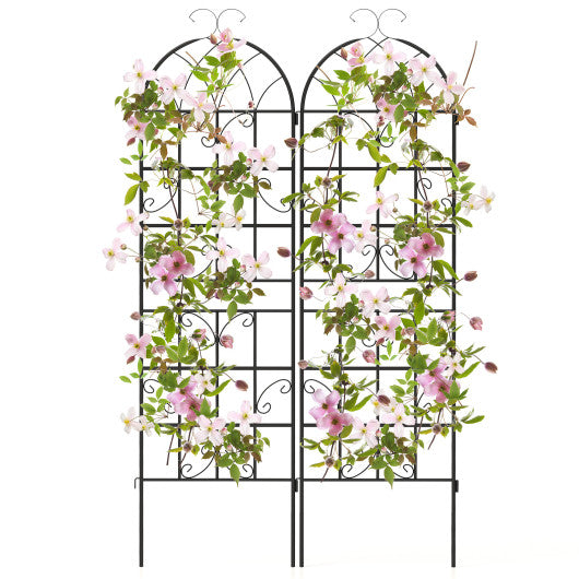 2/4 Pack 71 x 20 Inch Metal Garden Trellis for Climbing Plants-Set of 2