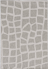 5' X 8' Gray Abstract Indoor Outdoor Area Rug