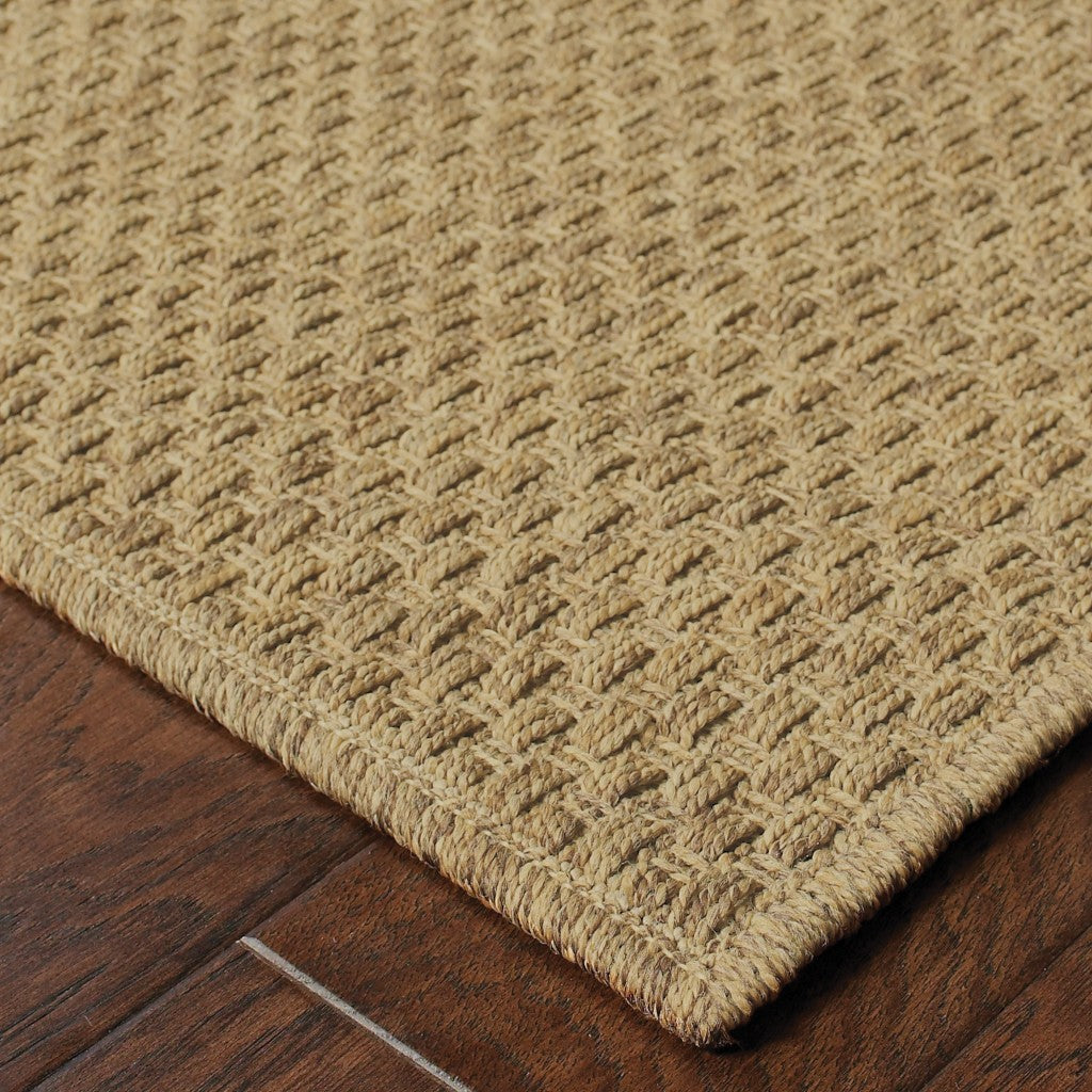 2' X 4' Tan Indoor Outdoor Area Rug