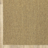 2' X 4' Tan Indoor Outdoor Area Rug