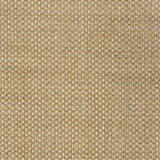 4' X 6' Beige Indoor Outdoor Area Rug