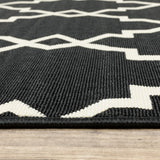 4' X 6' Black and Ivory Indoor Outdoor Area Rug