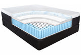 13" Hybrid Lux Memory Foam And Wrapped Coil Mattress Twin Xl