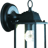 Matte Black Hanging Glass Lantern Wall Light