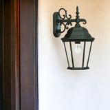 Matte Black Domed Glass Hanging Lantern Wall Light