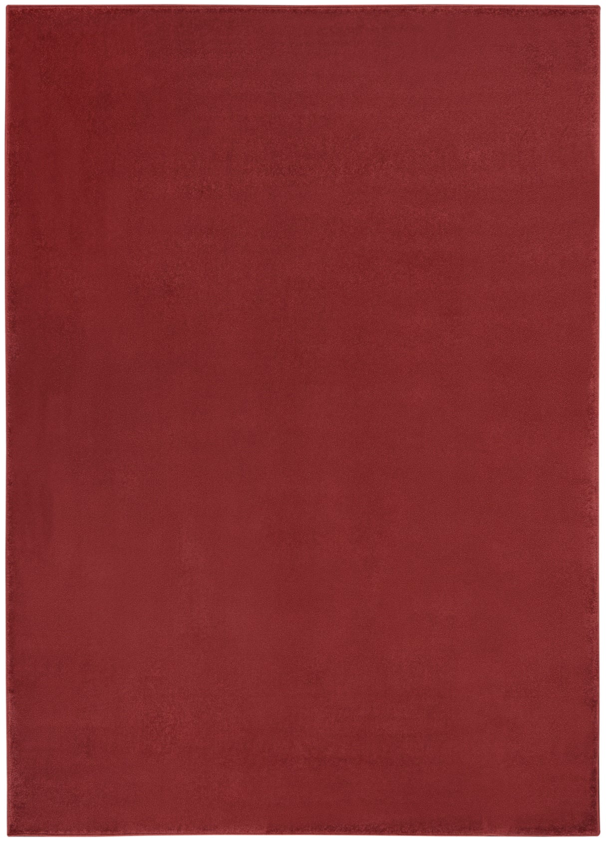 4' X 6' Brick Red Stain Resistant Indoor Outdoor Area Rug