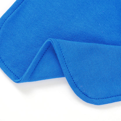 Aidens Corner Organic Cotton Baby Bibs | Blue