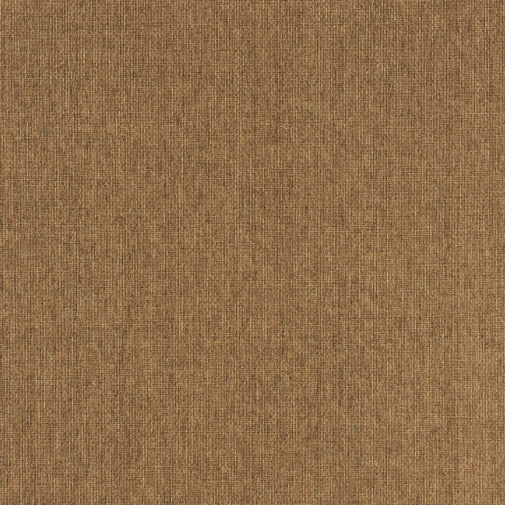 Tan Stain Resistant Indoor Outdoor Area Rug