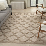 8' X 10' Beige Geometric Flatweave Area Rug