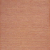 4' X 6' Terracotta Indoor Outdoor Area Rug