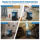 140 Pints Commercial Dehumidifier Crawl Space Dehumidifier with Pump and Drain Hose-Blue