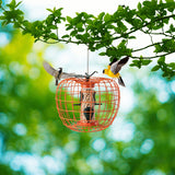 Squirrel-Proof Pumpkin Bird Feeder with Cage and 4 Metal Ports