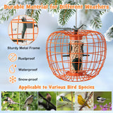 Squirrel-Proof Pumpkin Bird Feeder with Cage and 4 Metal Ports