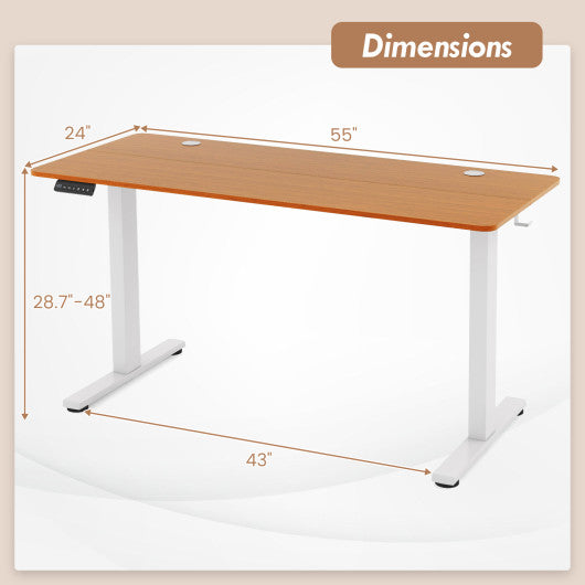 55 x 24 Inches Sit Stand Home Office Desk with 3 Memory Height Settings-Natural