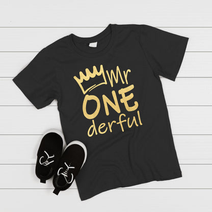 Mr Onederful 1st Birthday Shirts