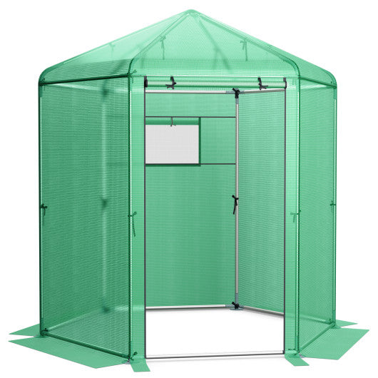 Walk-In Hexagonal Greenhouse with PE Cover and Metal Frame