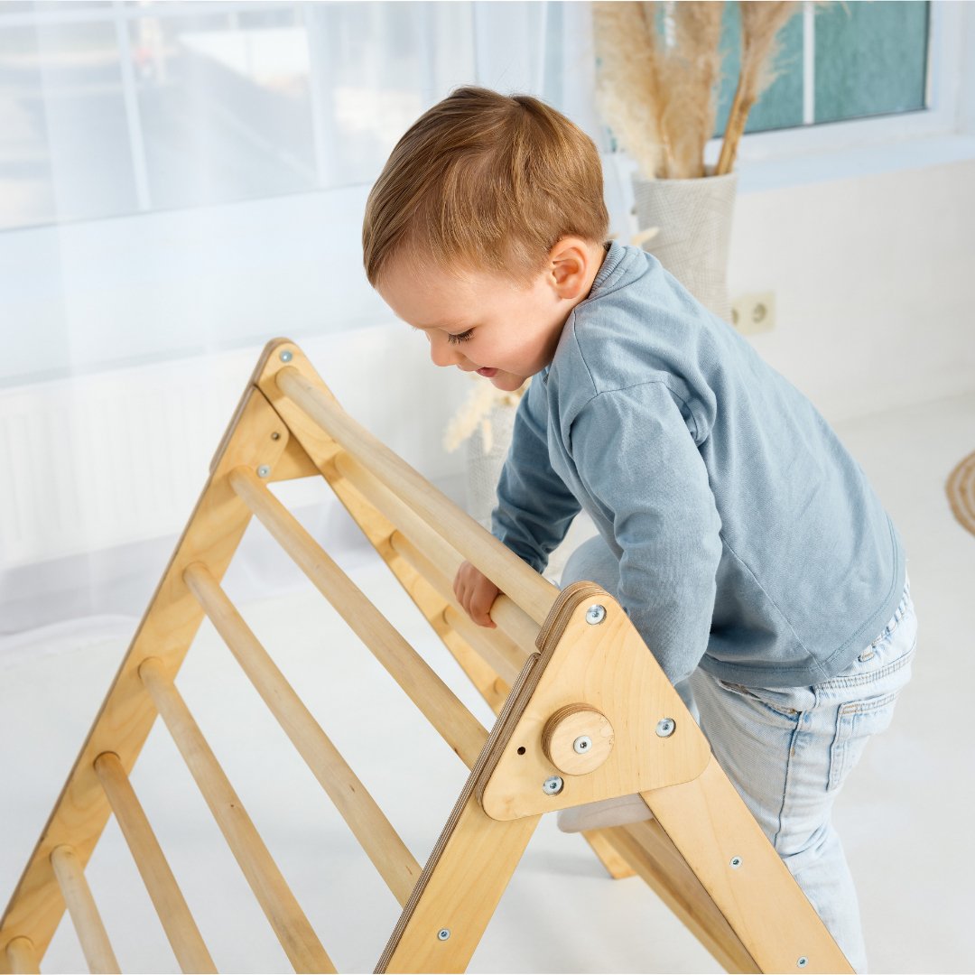 Indoor Montessori Triangle Climbing Ladder for Toddlers 1-7 y.o.