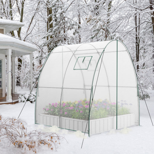 6 x 6 x 6.6 FT Outdoor Wall-in Tunnel Greenhouse-White