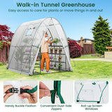 6 x 6 x 6.6 FT Outdoor Wall-in Tunnel Greenhouse-White