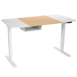 55 x 28 Inch Electric Adjustable Sit to Stand Desk with USB Port-White