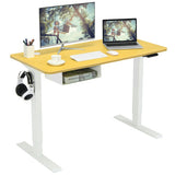 48-Inch Electric Standing Adjustable Desk with Control Panel and USB Port-Natural