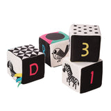 Wimmer Ferguson Mind Cubes by Manhattan Toy
