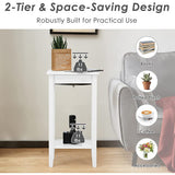 Set of 2 Versatile 2-Tier End Table with Storage Shelf-White