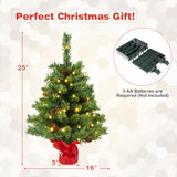 25 Inch Pre-lit Mini Tabletop Christmas Tree with 50 LED Lights