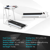3-in-1 Folding Treadmill with Large Desk and LCD Display-White