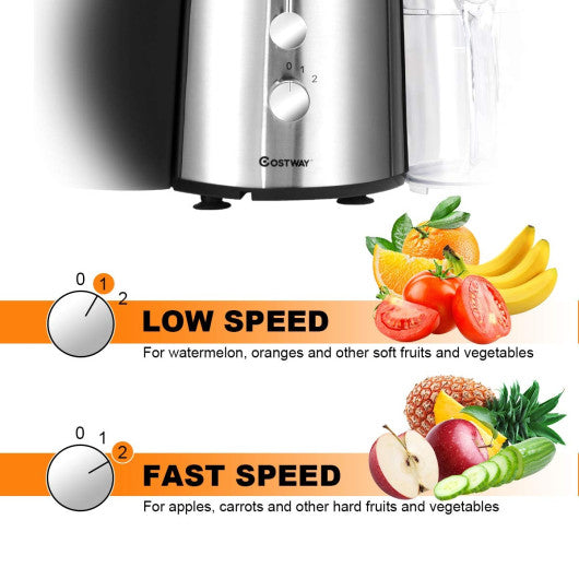 2 Speed Electric Juice Press for Fruit and Vegetable