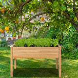 49€™€™ x 23€™€™ x 30€™€™  Wooden Raised Vegetable Garden Bed