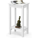 Set of 2 Versatile 2-Tier End Table with Storage Shelf-White