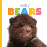 Starting Out: Baby Bears by The Creative Company Shop