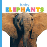 Starting Out: Baby Elephants by The Creative Company Shop