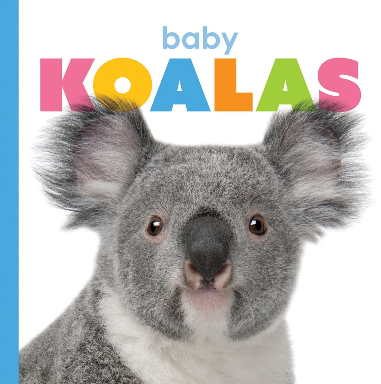 Starting Out: Baby Koalas by The Creative Company Shop