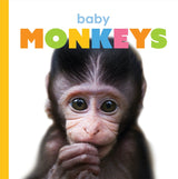 Starting Out: Baby Monkeys by The Creative Company Shop