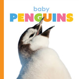 Starting Out: Baby Penguins by The Creative Company Shop