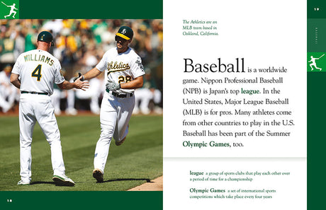 Amazing Sports: Baseball by The Creative Company Shop
