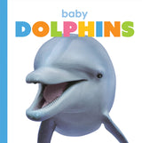 Starting Out: Baby Dolphins by The Creative Company Shop