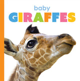 Starting Out: Baby Giraffes by The Creative Company Shop