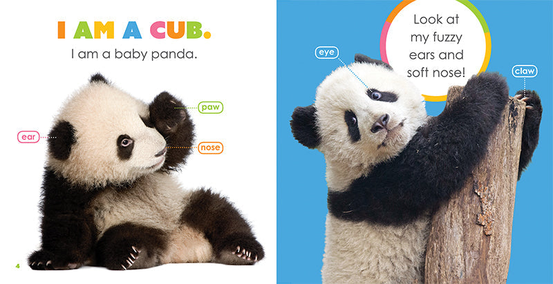 Starting Out: Baby Pandas by The Creative Company Shop