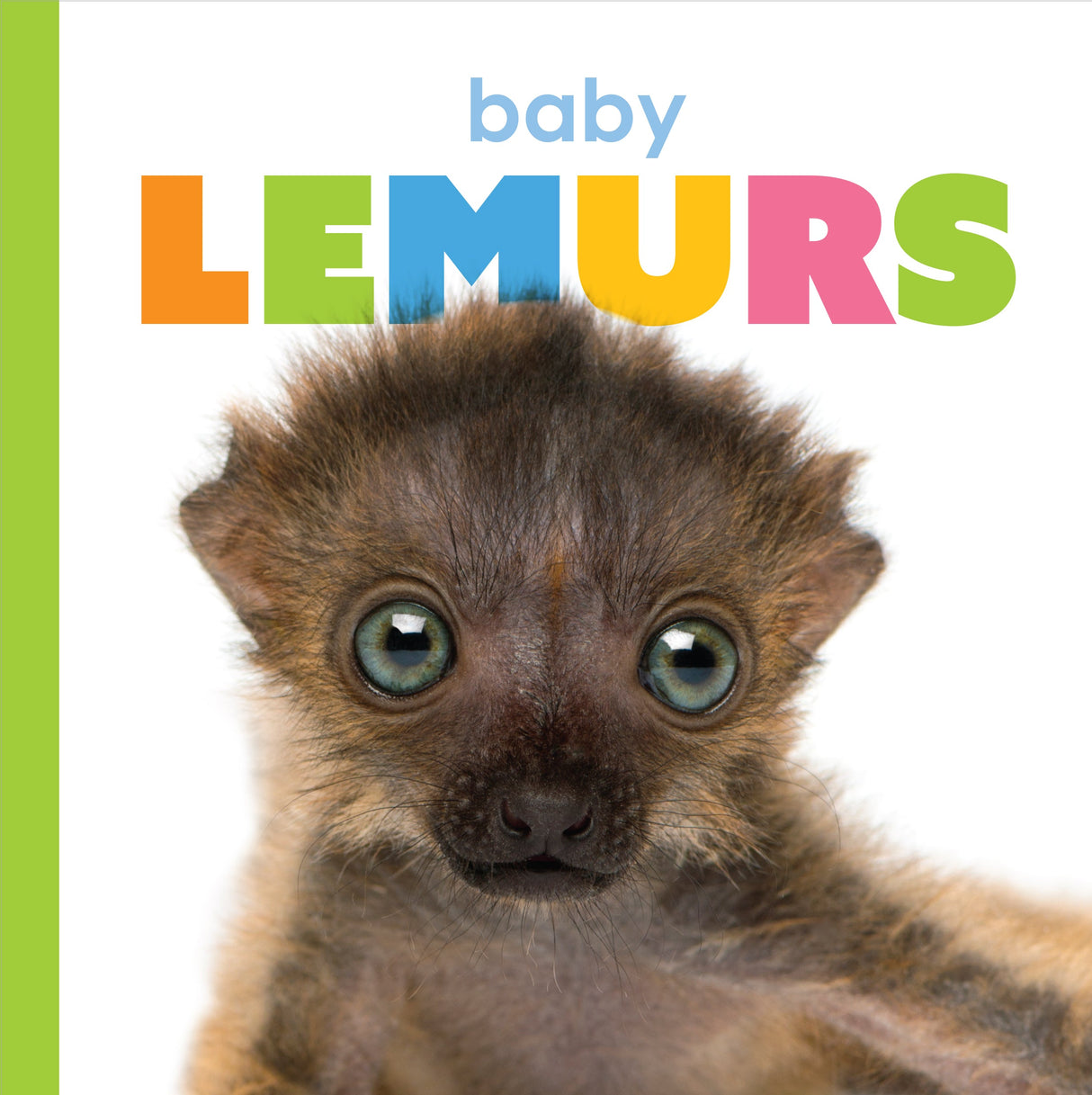 Starting Out: Baby Lemurs by The Creative Company Shop