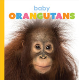 Starting Out: Baby Orangutans by The Creative Company Shop