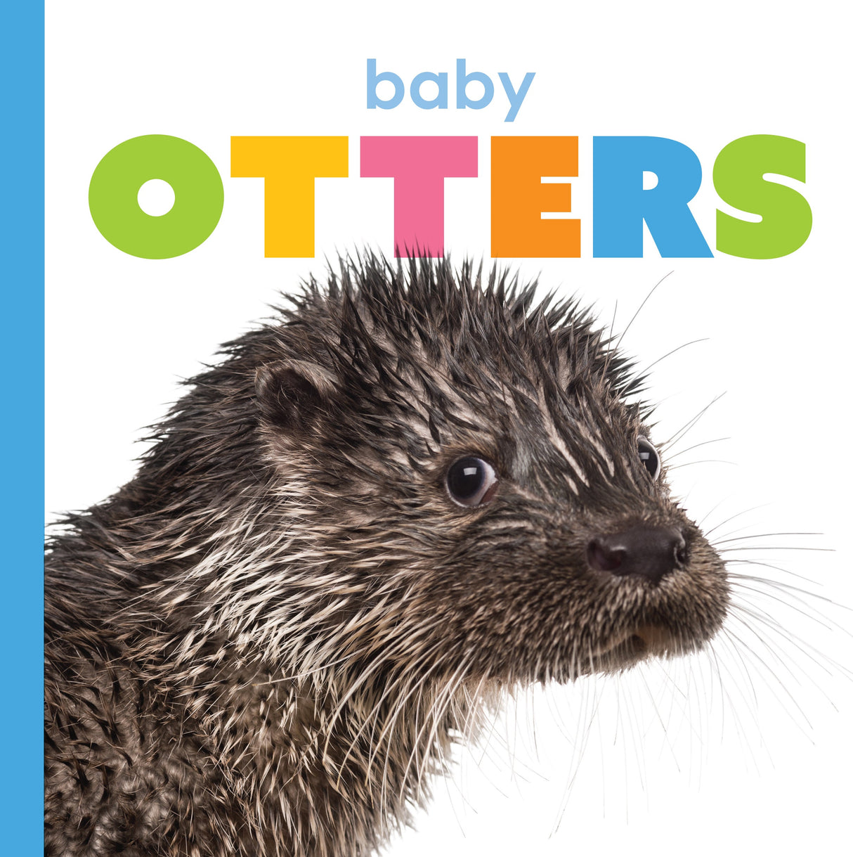 Starting Out: Baby Otters by The Creative Company Shop